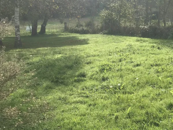 TERRAIN CONSTRUCTIBLE