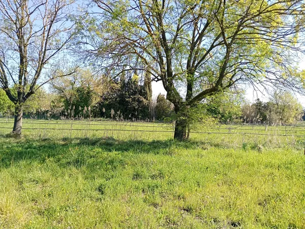 Terrain 2500 m²
