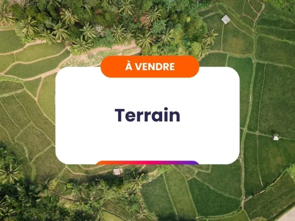 Terrain 2390 m²