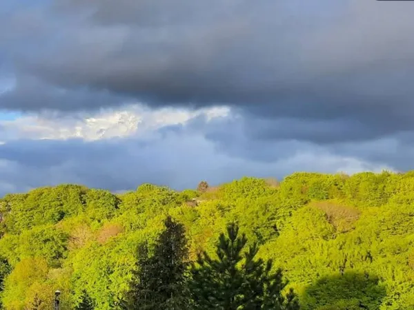 Terrain 1060 m²
