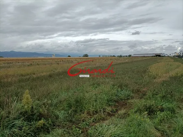 OBERENTZEN (68127) TERRAIN A BÂTIR ENTIEREMENT VIABILISE DE