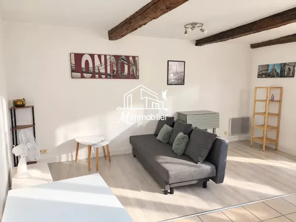 M'260710 EXCLUSIVITE APPARTEMENT NARBONNE