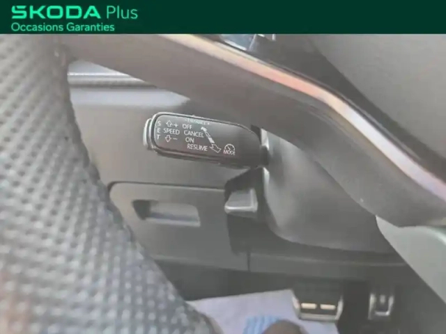 Skoda Fabia 1.5 tsi 150 ch evo 2 dsg7 monte-carlo — photo 13