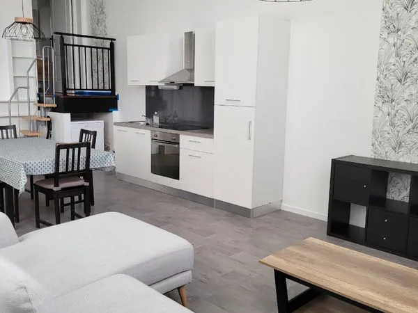 T3 meublé loft hyper centre