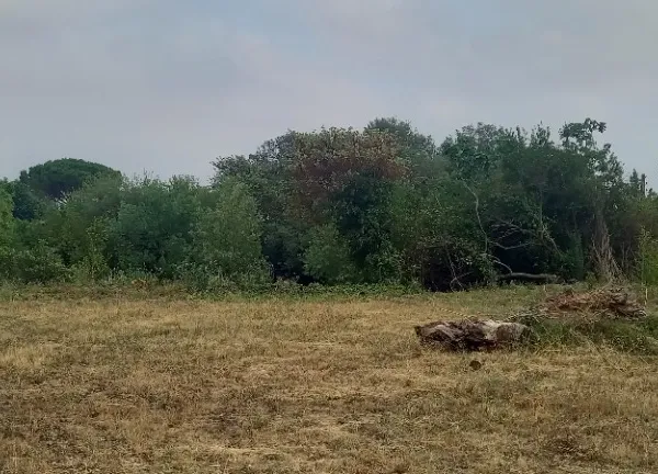 Terrain 2499 m²