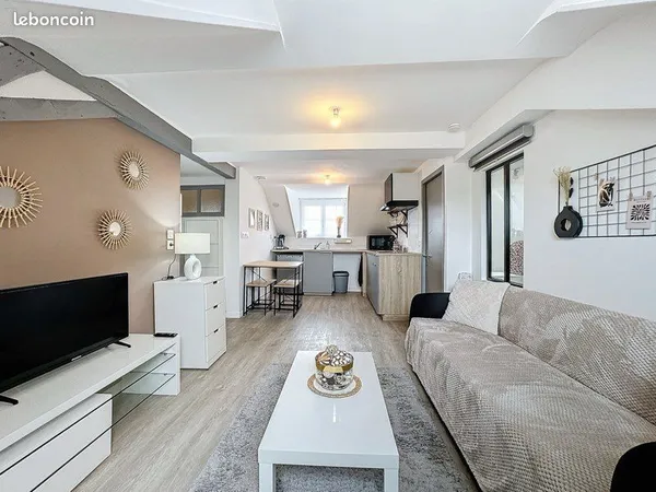 Charmant appartement T2/ investisseur