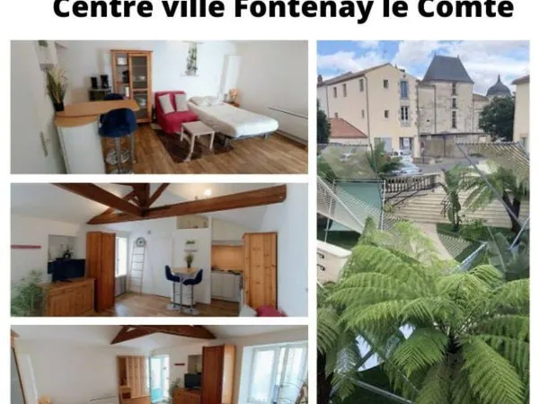 Appartement 1 pièce 25 m²
