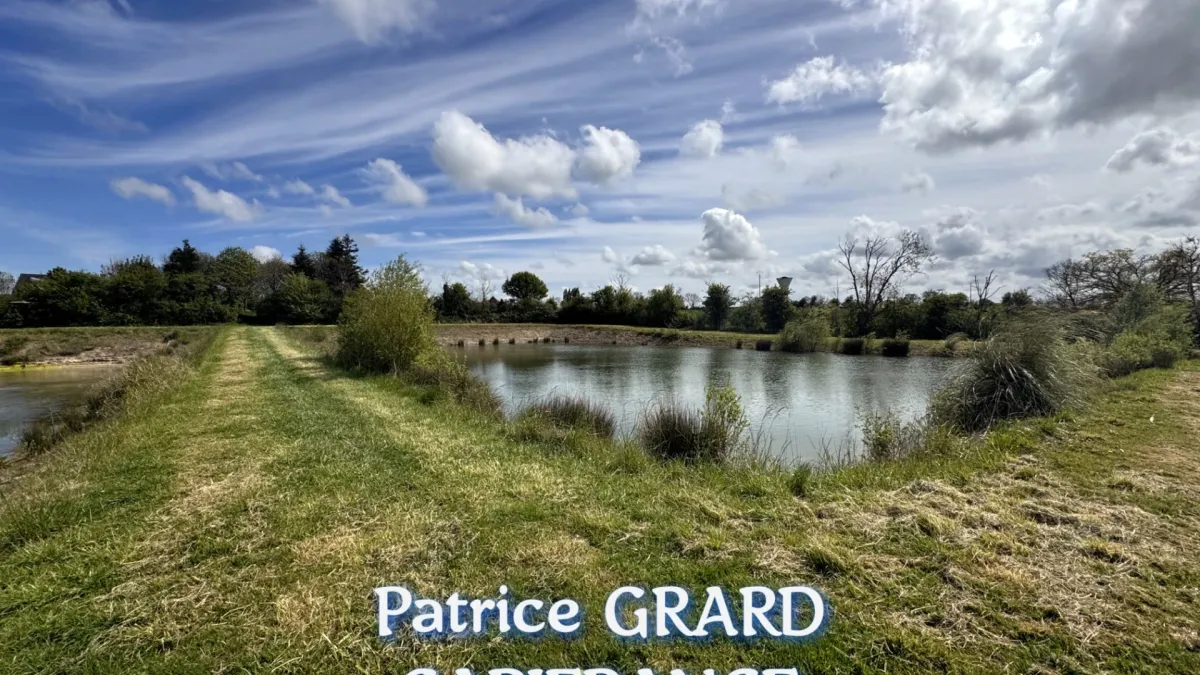 Photo 46