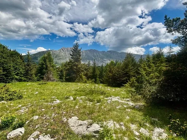 Terrain 734 m²