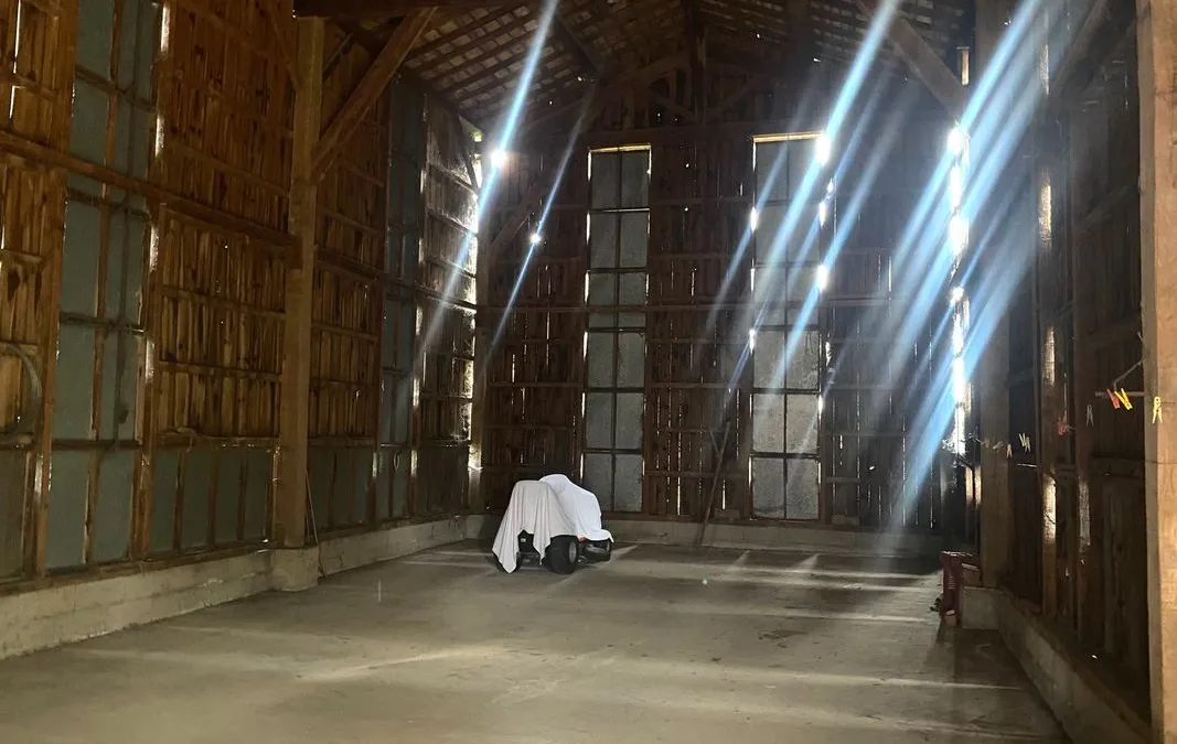 Photo 13