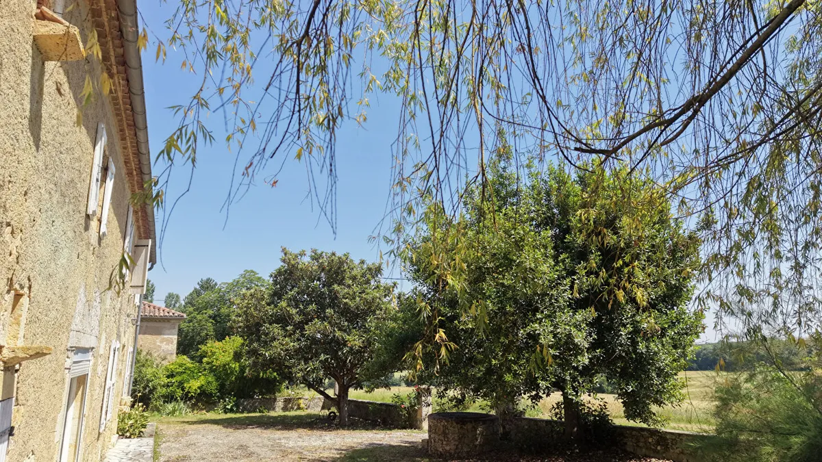 Photo 19