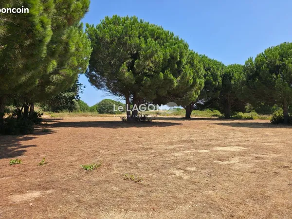 Terrain 222 m² Latour-Bas-Elne