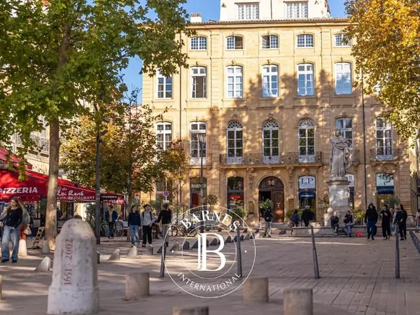 Aix-En-Provence - Cours Mirabeau - Appartement De 180,76 M² - Habitation Et Espace Professionnel
