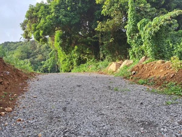 Terrain en individuel 6826 m²