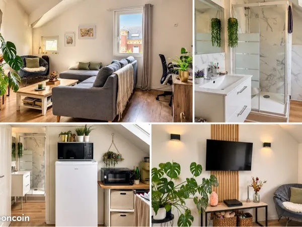 Grand studio meublé de 30 m² - lumineux et entièrement équipé - proche transports et commerces