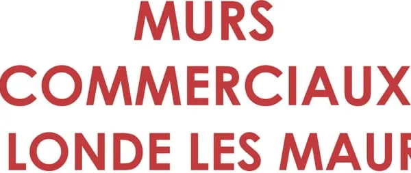 MURS COMMERCIAUX LA LONDE LES MAURES