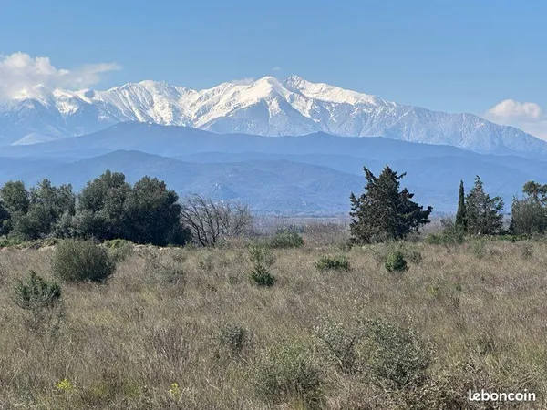 Très beau terrain de 2 ha