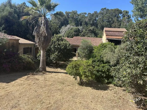 Maison 6 pièces 260 m²