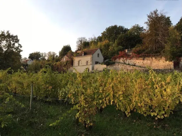 Maison au coeur des vignes