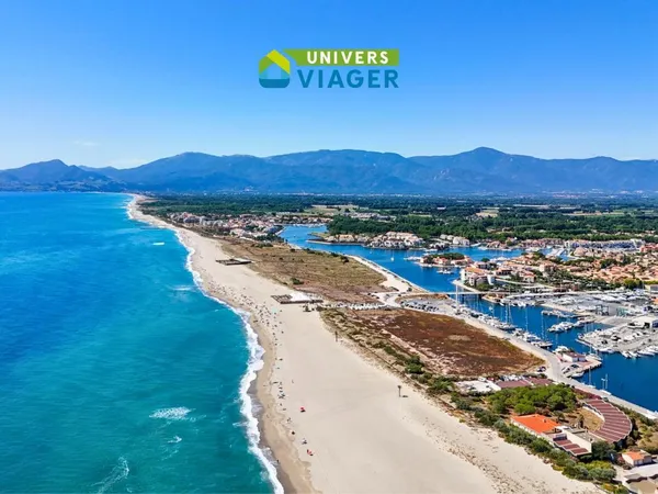 Maison en viager occupé à Alenya