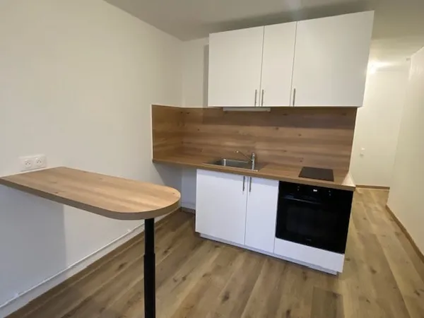 A louer - charmant appartement rénové secteur place des Vosg
