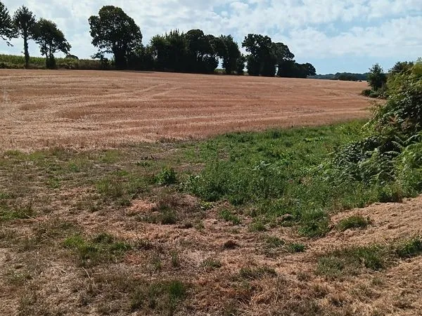 Terres agricoles