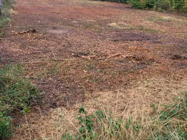 Vds terrain agricole