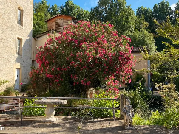Minoterie historique et ses 2 habitations, dépendances et cadre d'exception