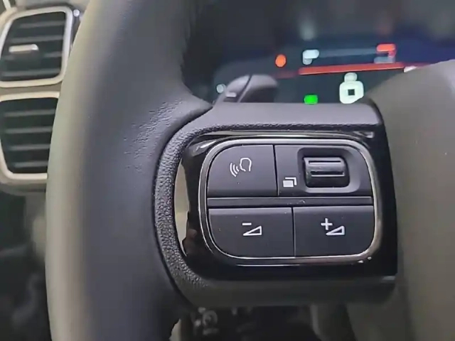 Citroën C5 Aircross bluehdi 130 eat8 — photo 54
