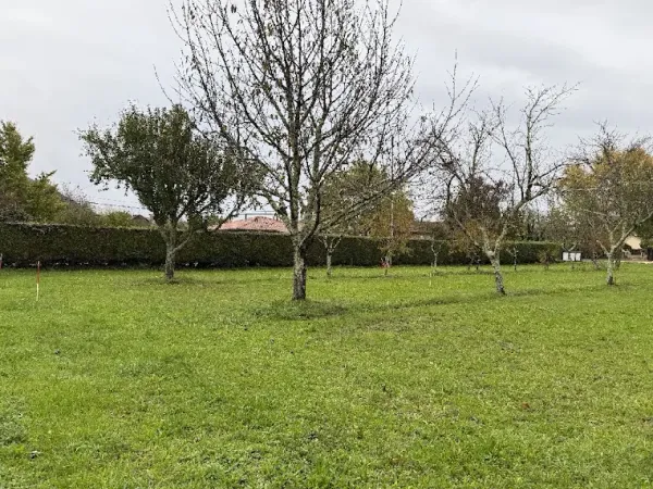 Terrain 777 m²