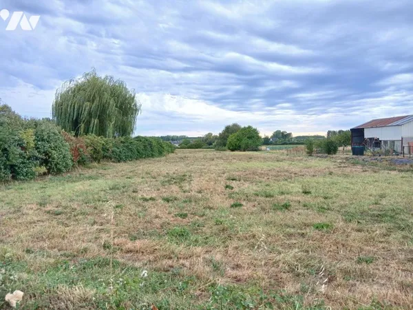 Terrain 1966 m²