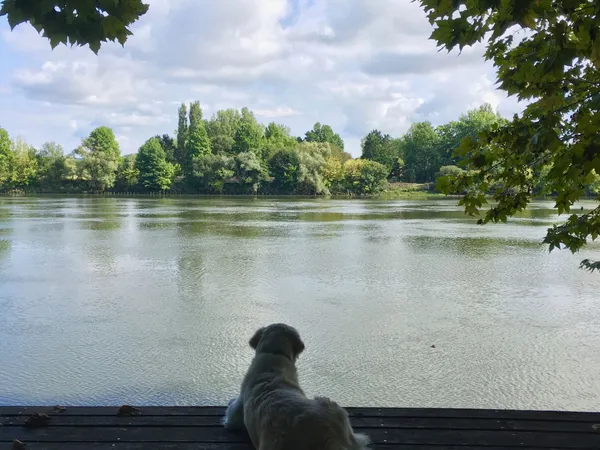 Vends maison 380m² charmante propriété avec ponton sur l'Adour