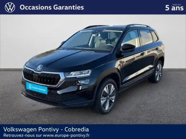 Skoda Karoq 2.0 tdi 116ch scr business dsg7