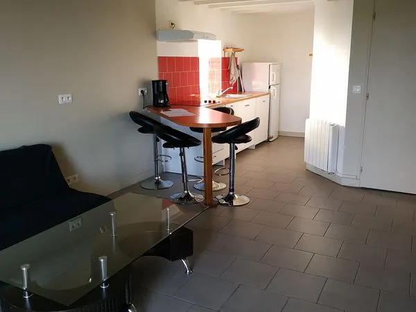 Joli T2 meublé en mezzanine - Lumineux et fonctionnel