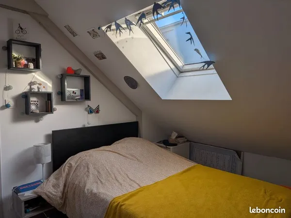Colocation maison jardin Angers