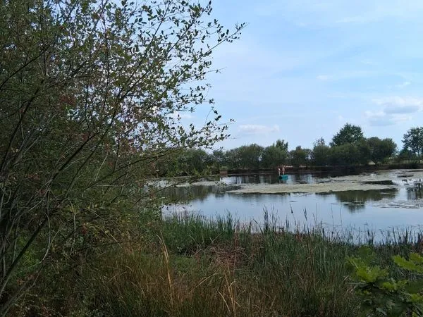 A A vendre Terrain avec étang en Vendée