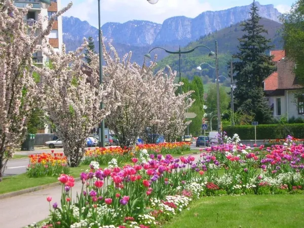 Appartement de 56m2 à louer sur Annecy