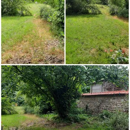 Rare en centre-ville : Magnifique terrain arboré