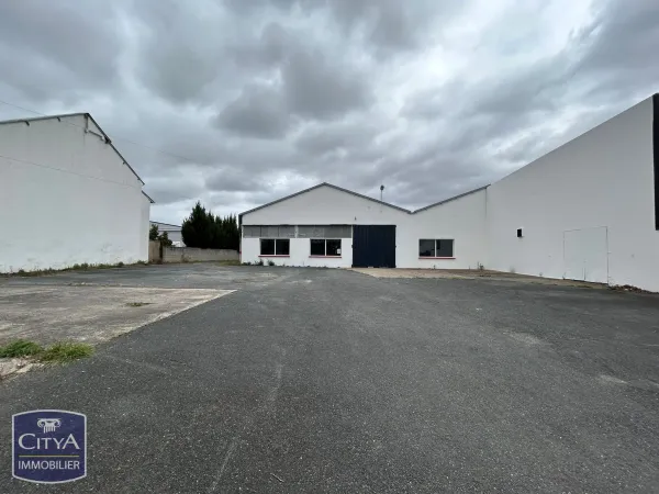 Local professionnel 1500 m²