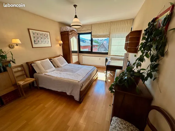 Chambre 17 m2 - dispo immédiate - colocation à trois - Annemasse centre