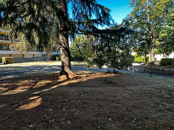 Studette 1 pièce 11 m²