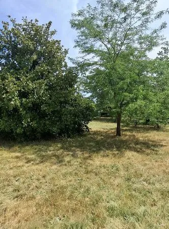 À vendre terrain de 800m2 constructible viabilisé 98000euros