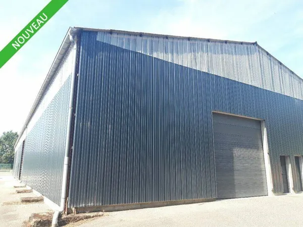Local d'activité 141 m²