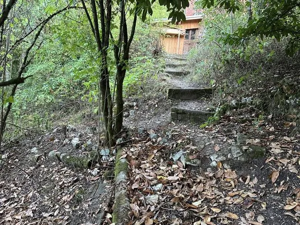 Terrain 7785 m² Bar-le-Duc