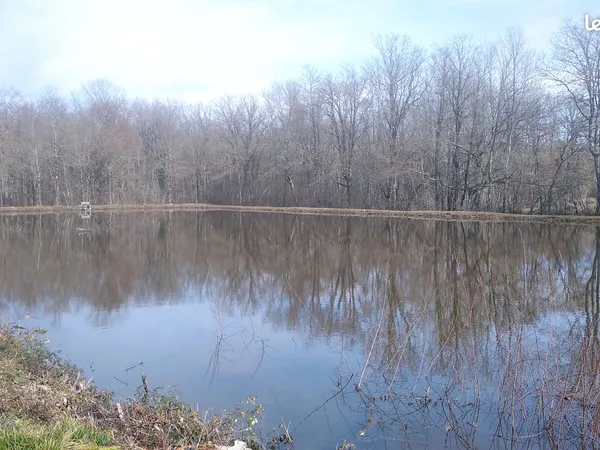 Etang de peche et chasse dans parc de la brenne