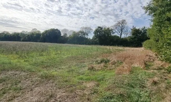 Terrain constructible 280 m²