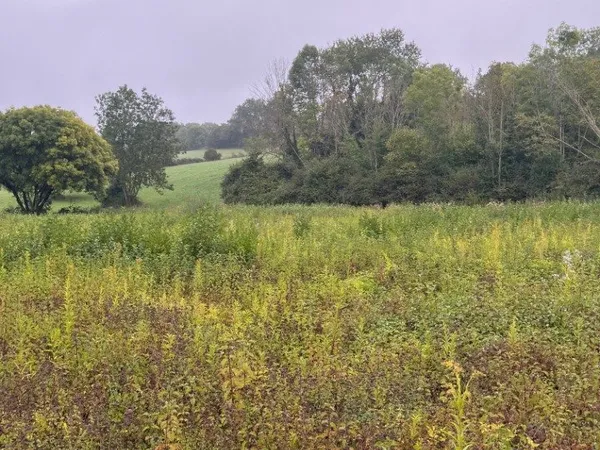 Terrain 1070 m²
