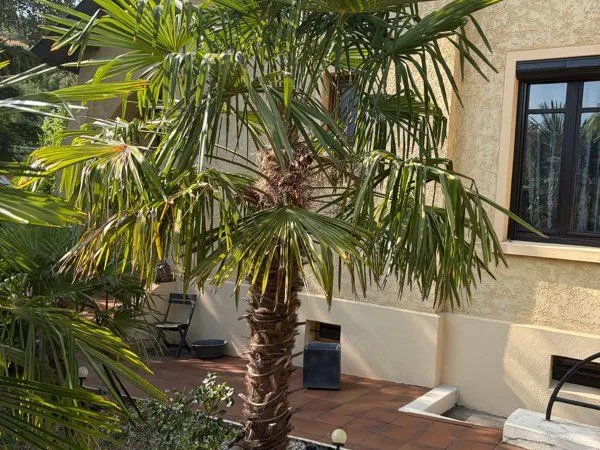 Location de maison meublée
