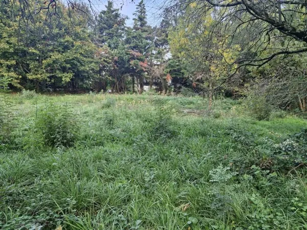 Dernière opportunité sur Cugnaux