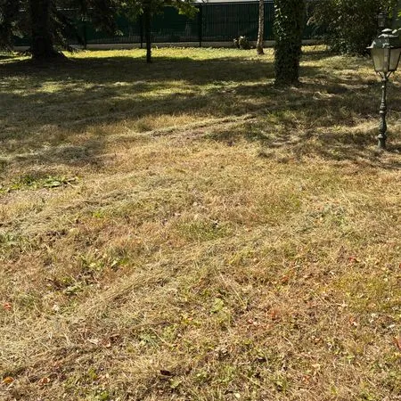 Terrain à bâtir